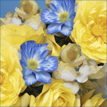 З Днем Незалежності України!